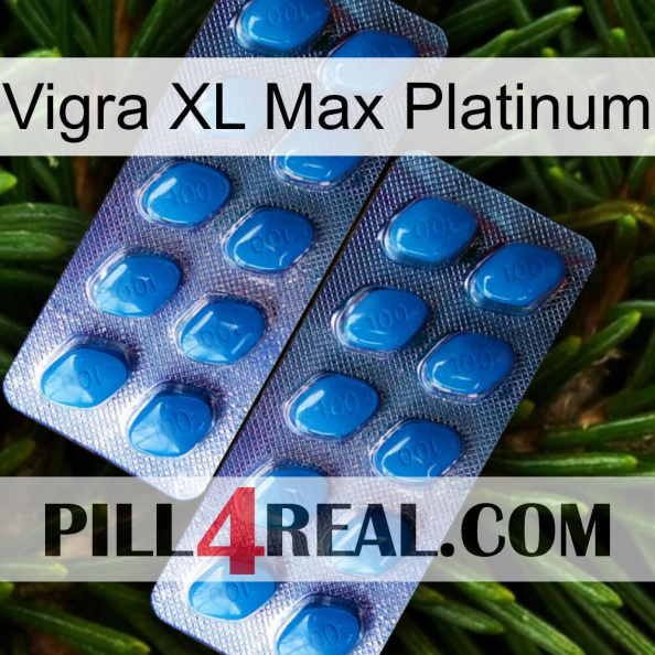 Vigra Xl Max Platinum viagra2.jpg